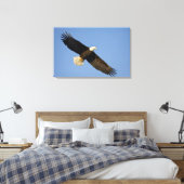 Steenarend, Haliaeetus leucocephalus, Homer, 4 Canvas Afdruk (Insitu (Slaapkamer))
