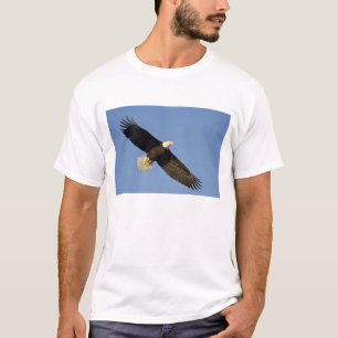 Steenarend, Haliaeetus leucocephalus, Homer, 4 T-shirt