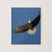 Steenarend, Haliaeetus leucocephalus, Homer, Legpuzzel (Verticaal)