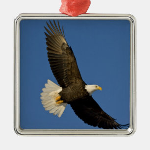 Steenarend, Haliaeetus leucocephalus, Homer, Metalen Ornament