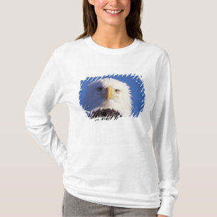 steenarend, Haliaeetus leucocephalus, hoofdopname, T-shirt