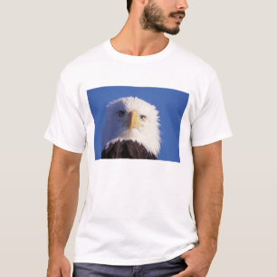 steenarend, Haliaeetus leucocephalus, hoofdopname, T-shirt
