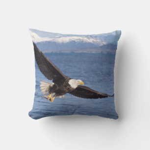 steenarend, Haliaeetus leucocephalus, in vlucht 4 Kussen