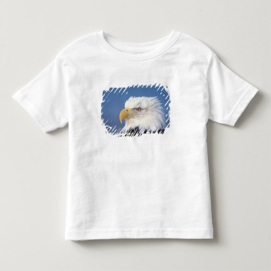 steenarend, Haliaeetus leucocephalus, Kinder Shirts (Voorkant)