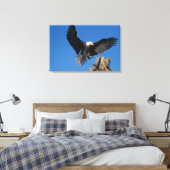 steenarend, Haliaeetus leucocephalus, landend Canvas Afdruk (Insitu (Slaapkamer))