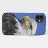 Steenarend, (Haliaeetus leucocephalus), wild, Case-Mate iPhone Case (Achterkant (horizontaal))
