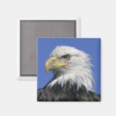 Steenarend, (Haliaeetus leucocephalus), wild, Magneet (Voorkant / Achterkant)