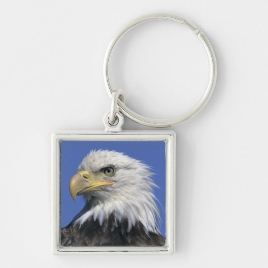 Steenarend, (Haliaeetus leucocephalus), wild, Sleutelhanger (Voorkant)
