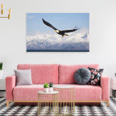 Steenarend in vlucht, Haliaeetus leucocephalus, 4 Canvas Afdruk (Insitu (Woonkamer))