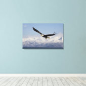 Steenarend in vlucht, Haliaeetus leucocephalus, 4 Canvas Afdruk (Insitu (Houten vloer))