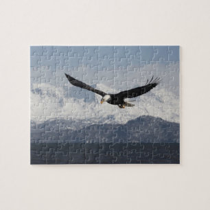 Steenarend in vlucht, Haliaeetus leucocephalus, Legpuzzel