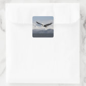 Steenarend in vlucht, Haliaeetus leucocephalus, Vierkante Sticker (Tas)