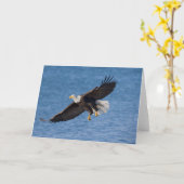 Steenarend in vlucht kaart (Gele Bloem)