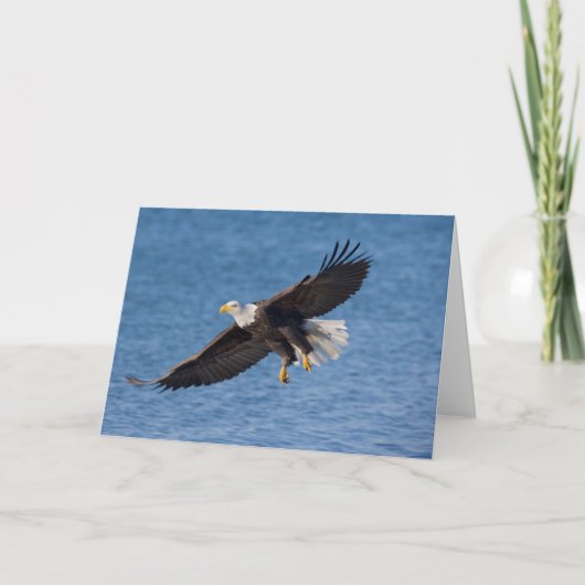 Steenarend in vlucht kaart (Voorkant)