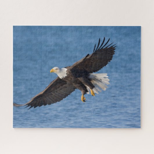 Steenarend in vlucht legpuzzel (Horizontaal)