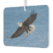 Steenarend in vlucht luchtverfrisser (Links)