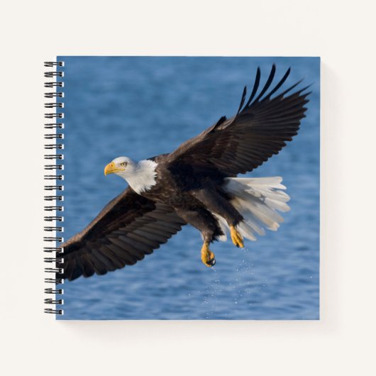 Steenarend in vlucht notitieboek (Voorkant)