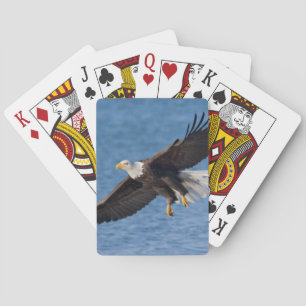 Steenarend in vlucht pokerkaarten