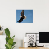 Steenarend in vlucht poster (Thuiskantoor)