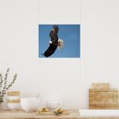 Steenarend in vlucht poster (Keuken)