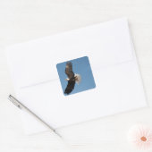 Steenarend in vlucht vierkante sticker (Envelop)
