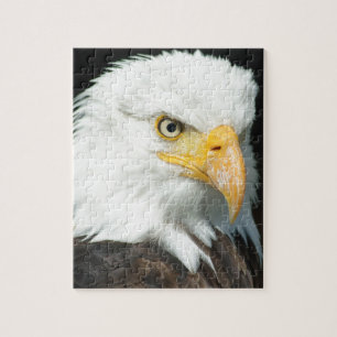 Steenarend Legpuzzel