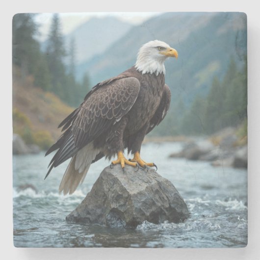 Steenarend Op Een Rivierrots Stenen Onderzetter (Voorkant)