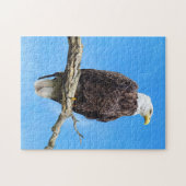 Steenarend op een tak legpuzzel (Horizontaal)