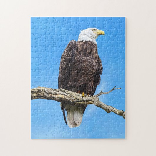Steenarend op een tak legpuzzel (Verticaal)
