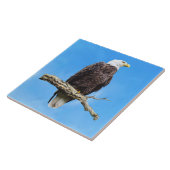 Steenarend op een tak tegeltje (Zijkant)