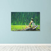 Steenarend op tak canvas afdruk (Insitu (Houten vloer))