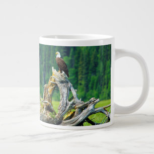Steenarend op tak grote koffiekop