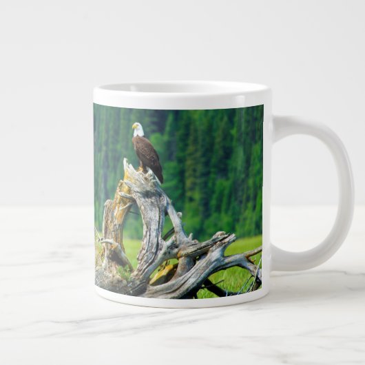 Steenarend op tak grote koffiekop (Rechts)