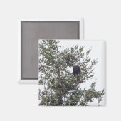 Steenarend P2825 Magneet (Voorkant / Achterkant)