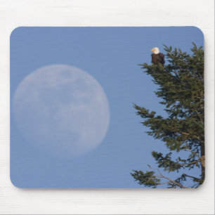 Steenarend Rijzende volle maan Muismat