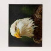 Steenarend Roofvogel. Legpuzzel (Verticaal)