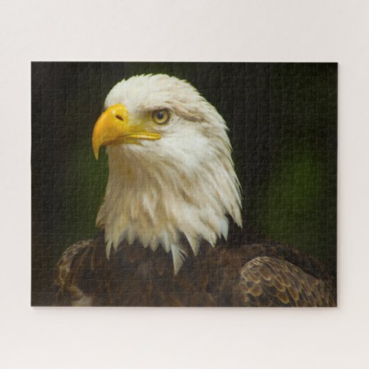 Steenarend Roofvogel. Legpuzzel (Horizontaal)