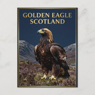 🦅 Steenarend Schotland Hoogland Vogel Briefkaart