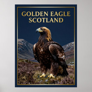 🦅 Steenarend Schotland Hoogland Vogel Poster
