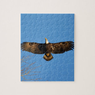 Steenarend Soaring1 Legpuzzel