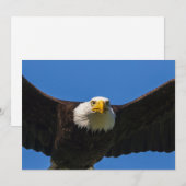 Steenarend vliegt dicht langs bedankkaart (Voorkant / Achterkant)