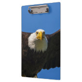 Steenarend vliegt dicht langs klembord (Links)