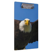 Steenarend vliegt dicht langs klembord (Rechts)