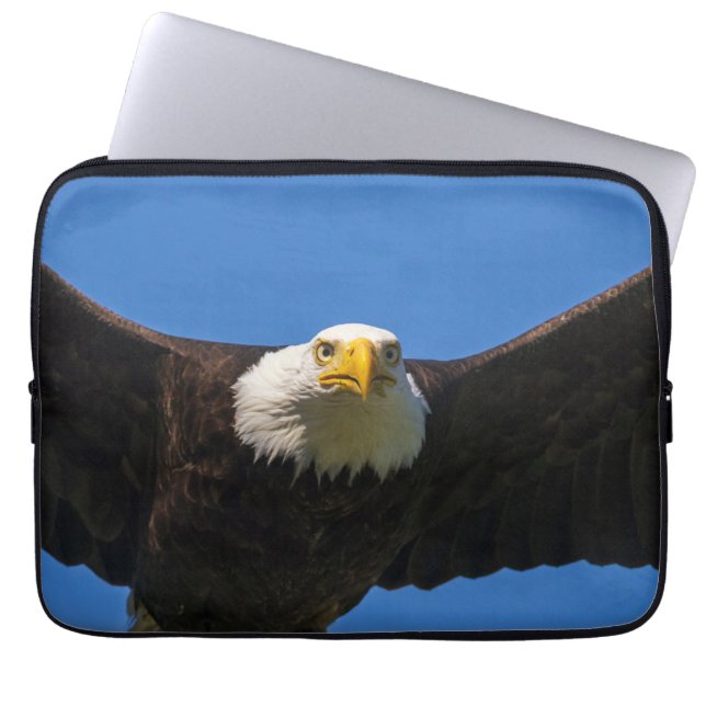 Steenarend vliegt dicht langs laptop sleeve (Voorkant)
