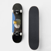Steenarend vliegt dicht langs persoonlijk skateboard (Voorkant)