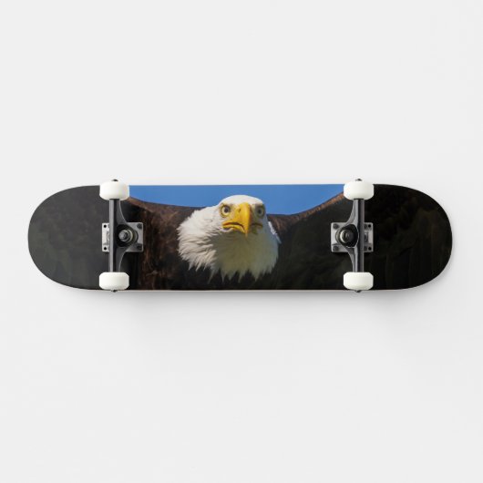 Steenarend vliegt dicht langs persoonlijk skateboard (Horizontaal)
