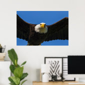 Steenarend vliegt dicht langs poster (Thuiskantoor)