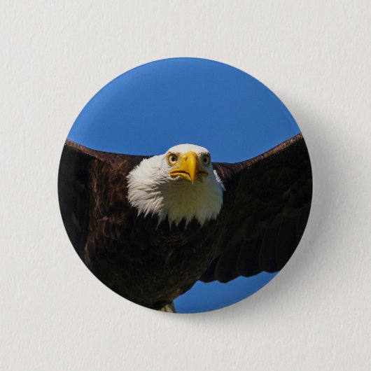 Steenarend vliegt dicht langs ronde button 5,7 cm (Voorkant)