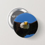 Steenarend vliegt dicht langs ronde button 5,7 cm (Voorkant /achterkant)