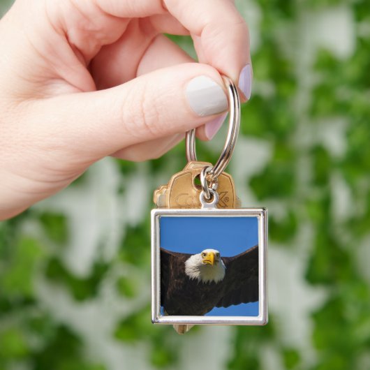 Steenarend vliegt dicht langs sleutelhanger (Hand)